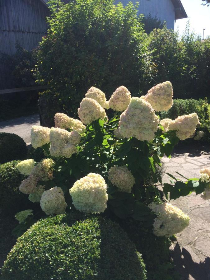 Rettenbach am Auerberg Apartment Gaestehaus Maria מראה חיצוני תמונה