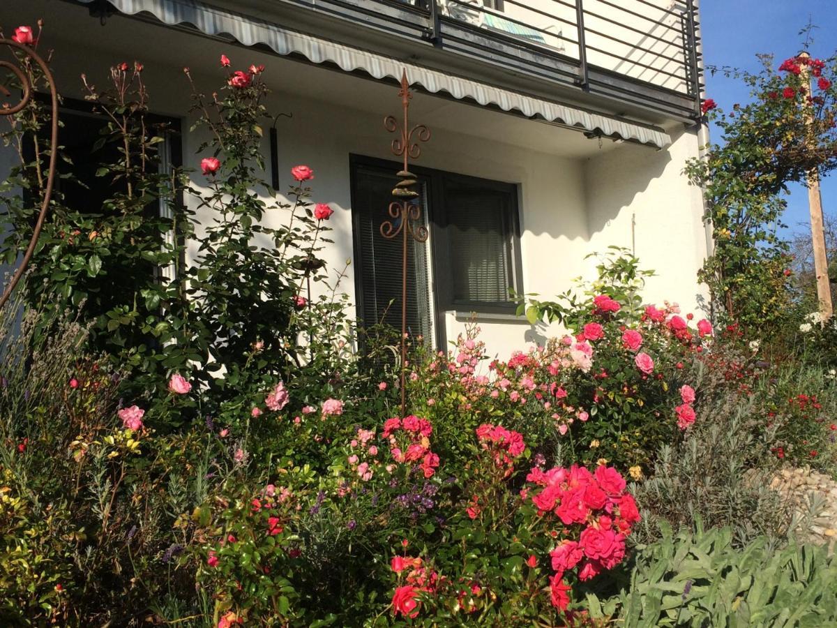 Rettenbach am Auerberg Apartment Gaestehaus Maria מראה חיצוני תמונה